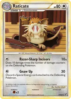 Raticate HS—Undaunted