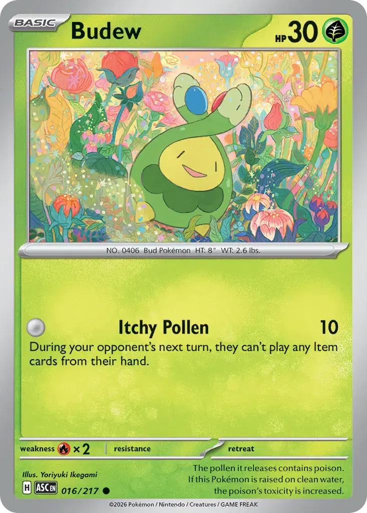 Budew Ascended Heroes 16