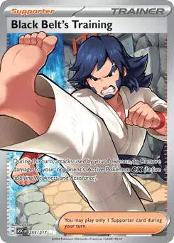 Black Belt's Training Ascended Heroes