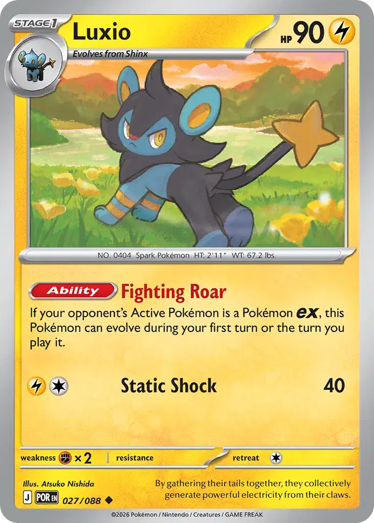 Luxio Perfect Order 27