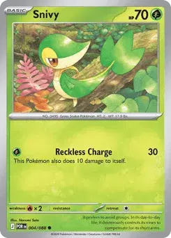 Snivy Perfect Order
