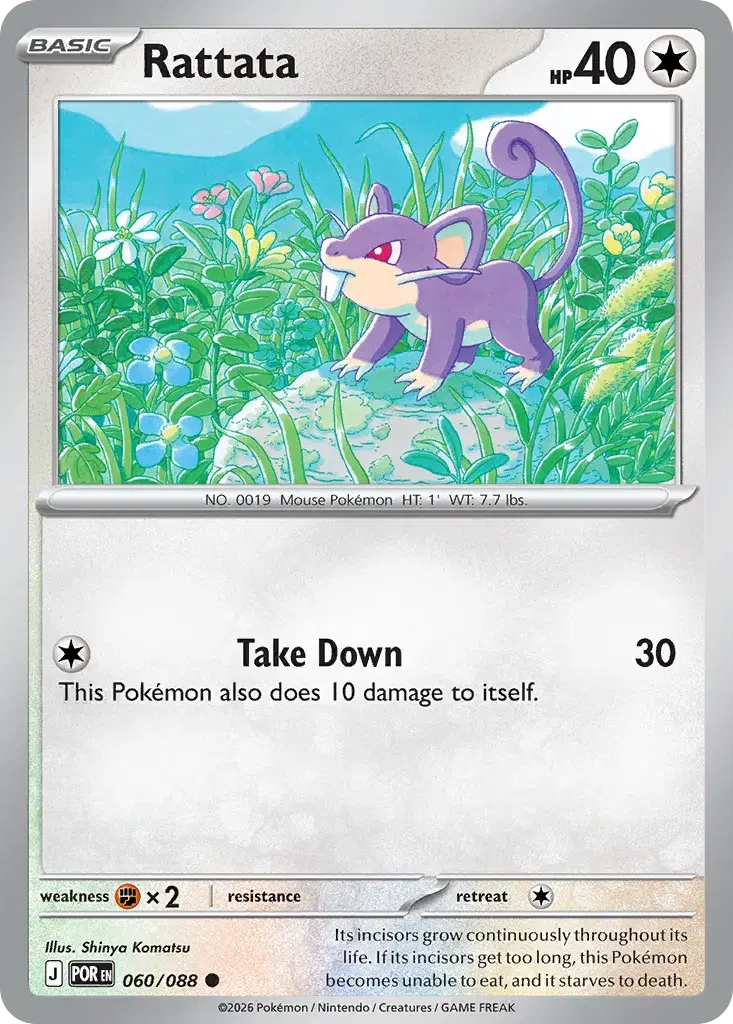 Rattata Perfect Order 60