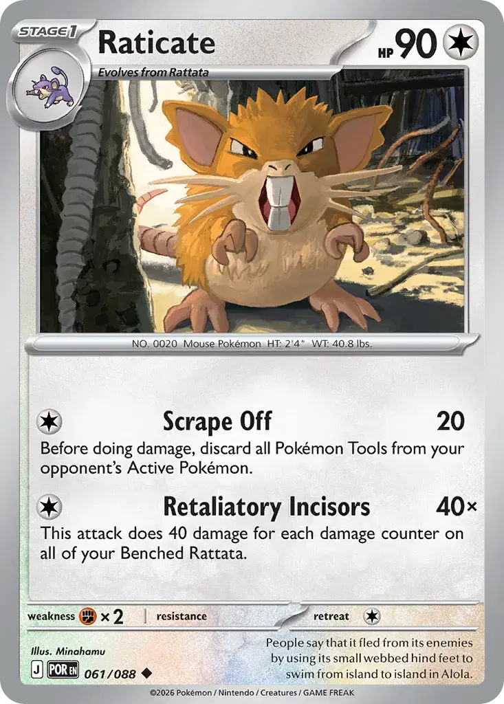 Raticate Perfect Order 61