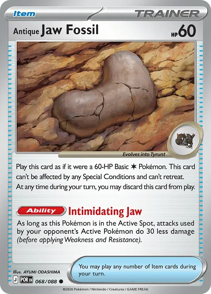 Antique Jaw Fossil Perfect Order 68