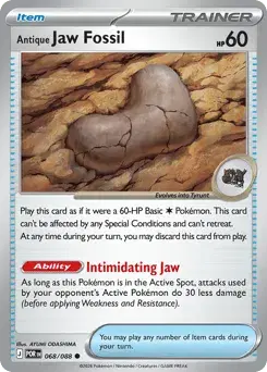 Antique Jaw Fossil Perfect Order