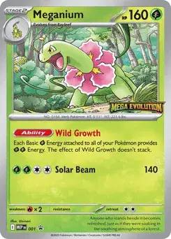 Meganium Mega Evolution Black Star Promos
