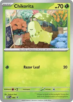 Chikorita Mega Evolution Black Star Promos