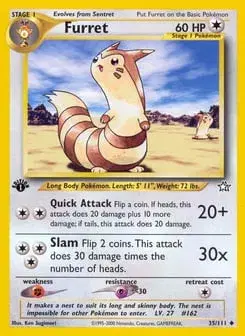 Furret Neo Genesis