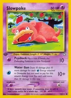 Slowpoke Neo Genesis
