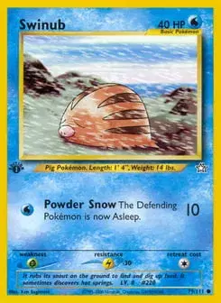 Swinub Neo Genesis