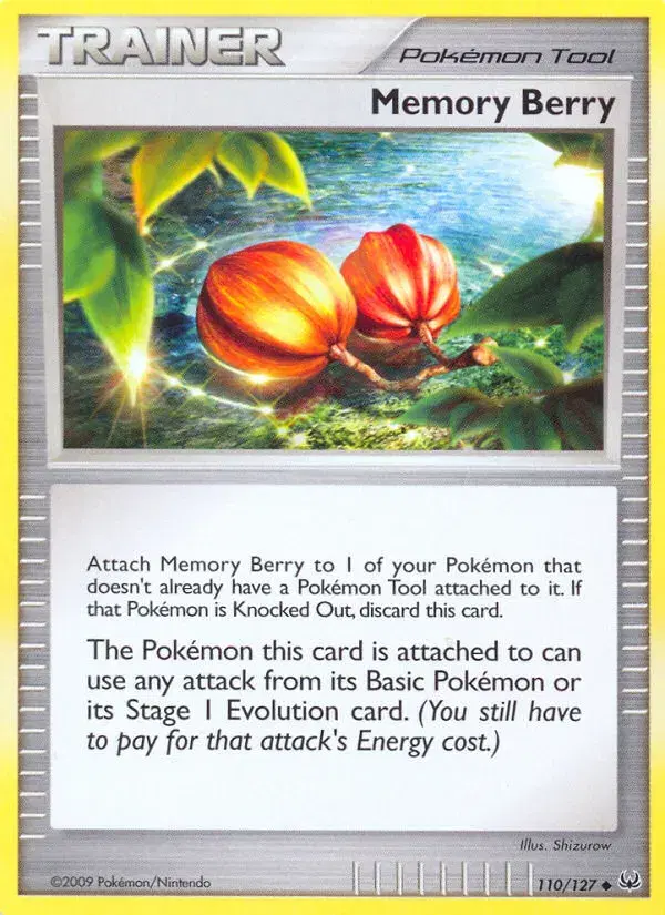 Memory Berry Platinum 110
