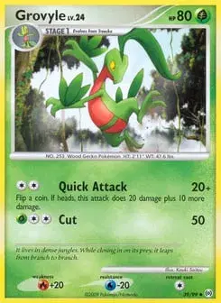 Grovyle Arceus
