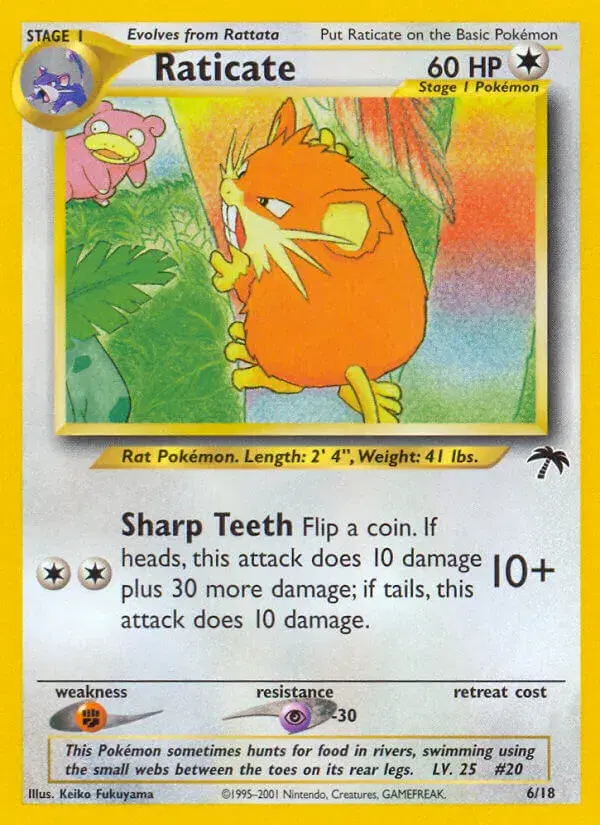 Raticate Southern Islands 6