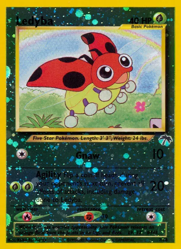 Ledyba Southern Islands 7