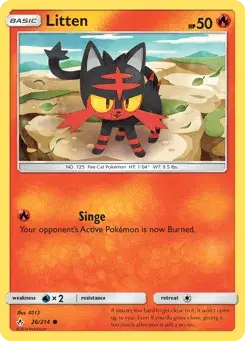Litten Unbroken Bonds