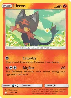 Litten Unbroken Bonds