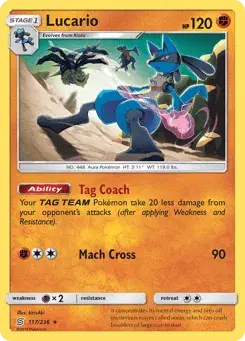 Lucario Unified Minds