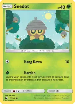 Seedot Celestial Storm