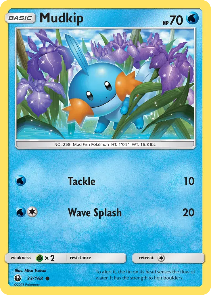 Mudkip Celestial Storm 33