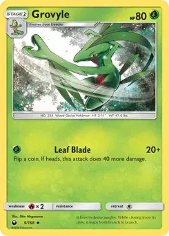 Grovyle Celestial Storm