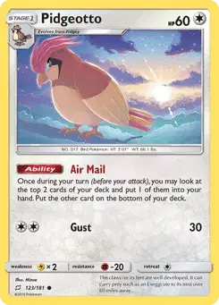 Pidgeotto Team Up