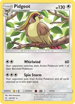 Pidgeot Team Up