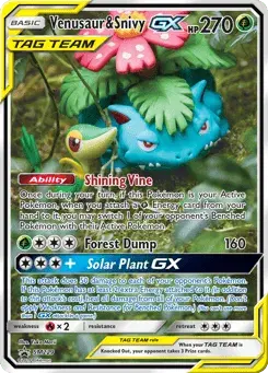 Venusaur & Snivy-GX #SM229