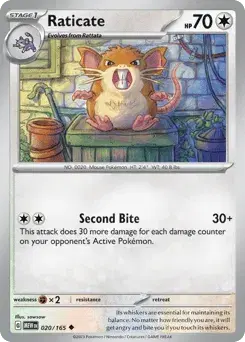 Raticate 151