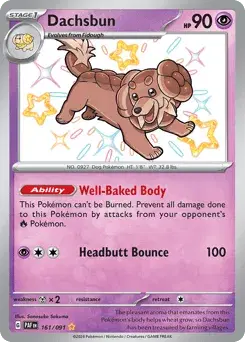 Dachsbun Paldean Fates
