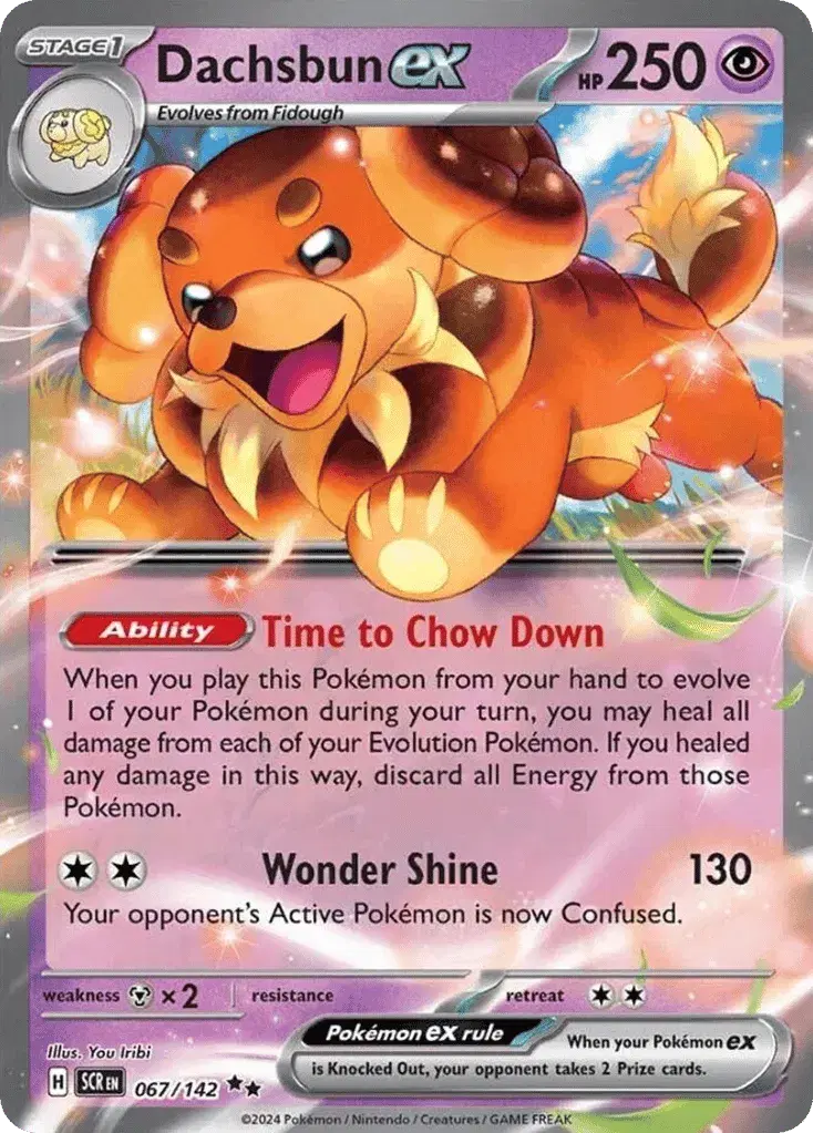 Dachsbun ex Stellar Crown 67