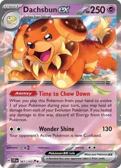 Dachsbun ex Stellar Crown