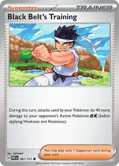 Black Belt's Training Prismatic Evolutions