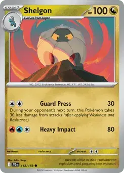 Shelgon Journey Together
