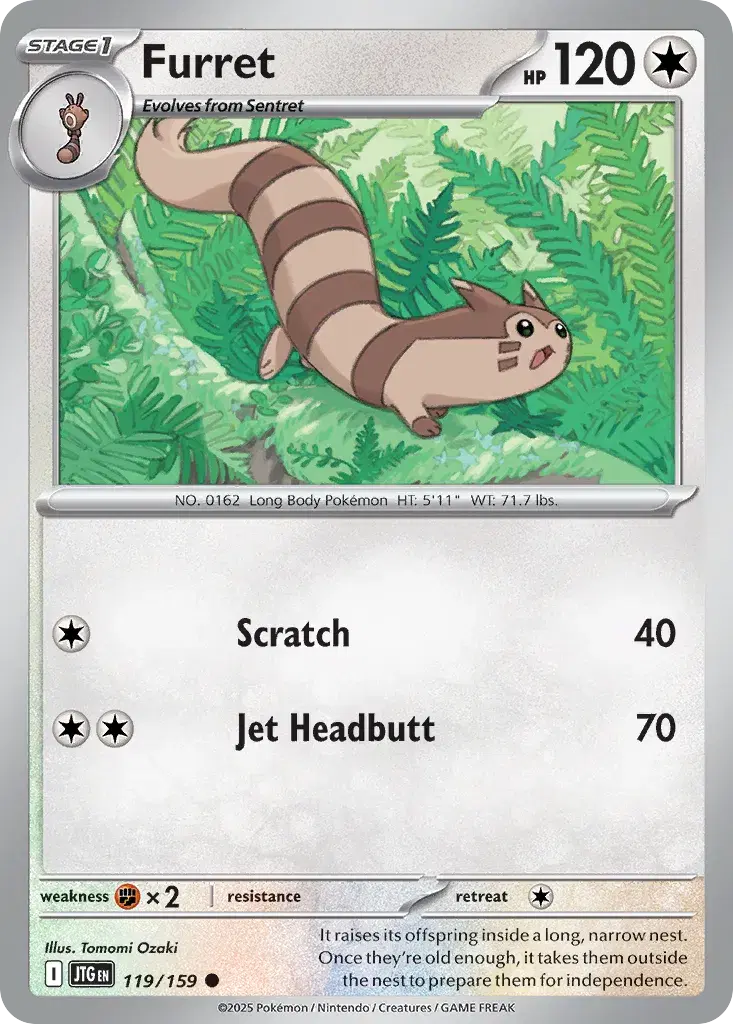 Furret Journey Together 119