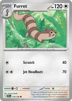 Furret Journey Together