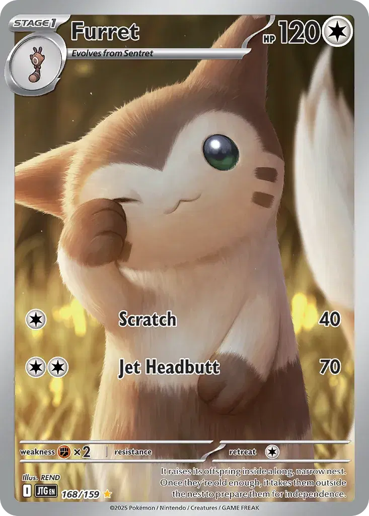 Furret Journey Together 168