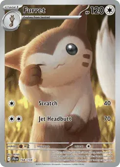 Furret Journey Together