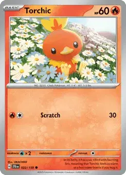Torchic Journey Together