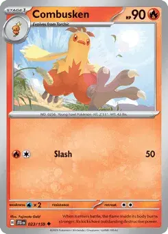 Combusken Journey Together