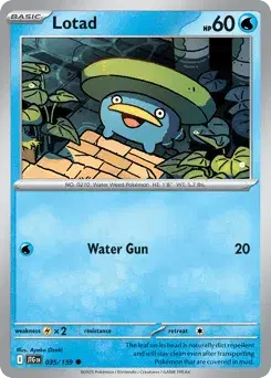 Lotad Journey Together