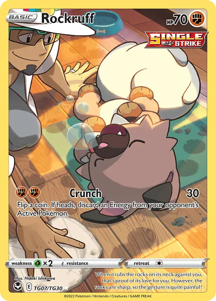 Rockruff Silver Tempest Trainer Gallery TG07