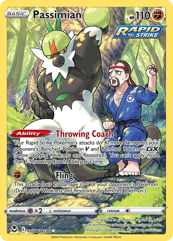 Passimian Silver Tempest Trainer Gallery TG08