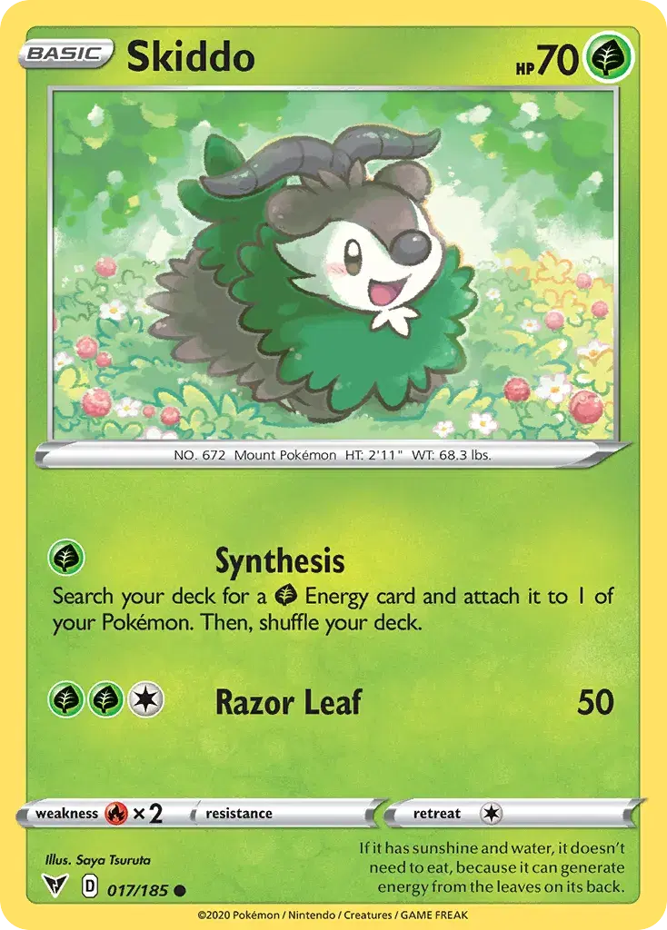 Skiddo Vivid Voltage 17