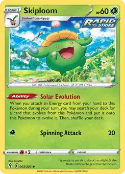 Skiploom Evolving Skies