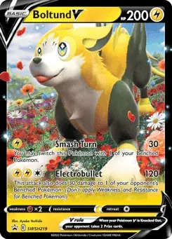 Boltund V SWSH Black Star Promos