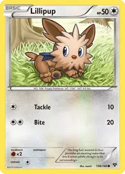 Lillipup XY
