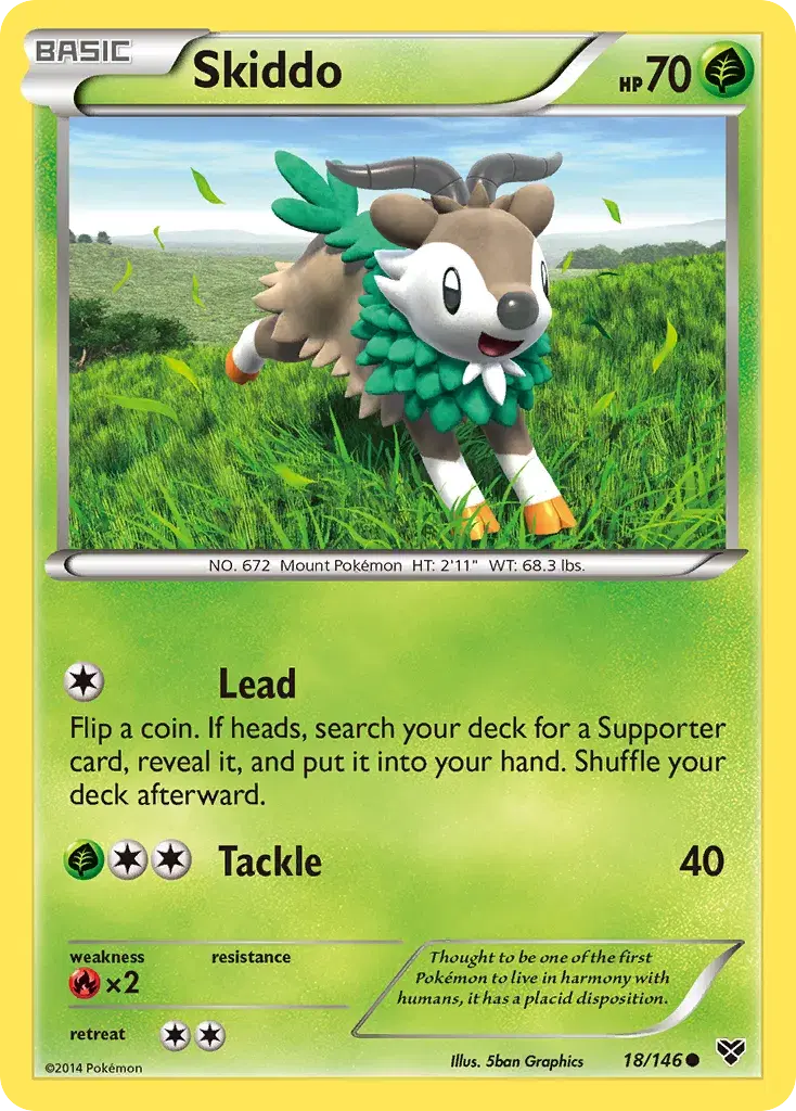 Skiddo XY 18