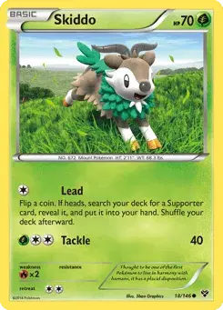 Skiddo XY