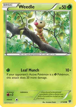 Weedle XY