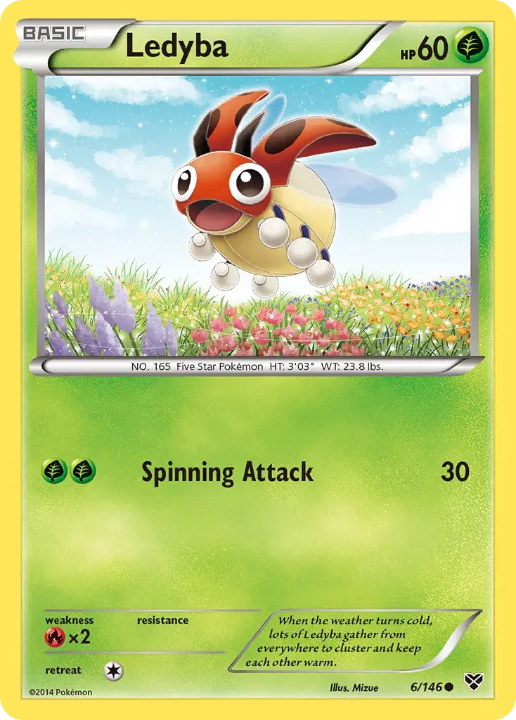 Ledyba XY 6